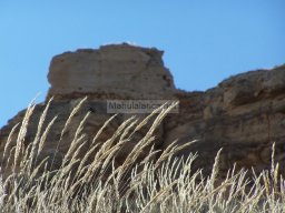 Castillo de Alcala 2009